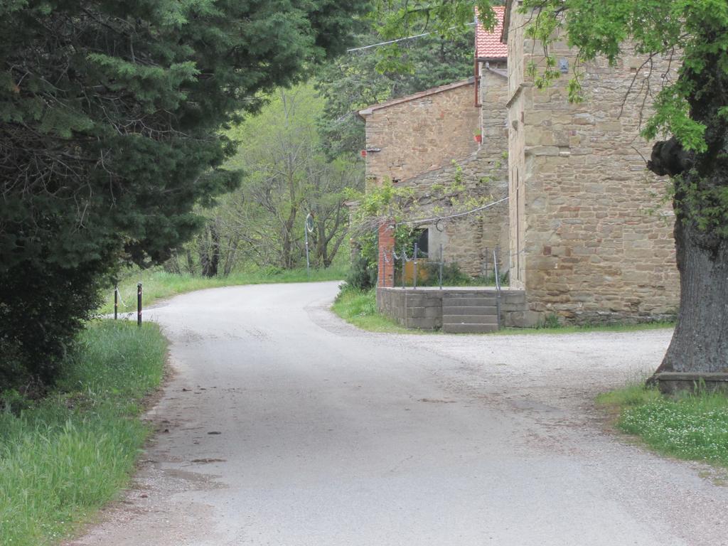 Bed And Breakfast Country Hill Arezzo Ngoại thất bức ảnh