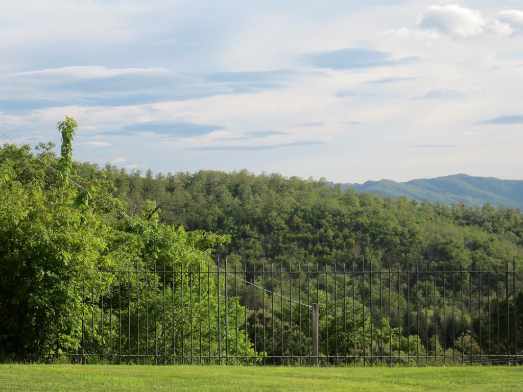 Bed And Breakfast Country Hill Arezzo Ngoại thất bức ảnh
