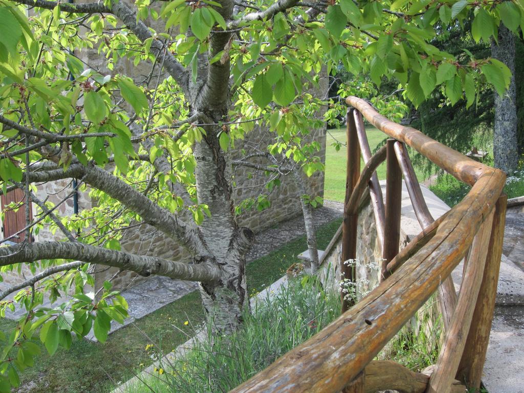 Bed And Breakfast Country Hill Arezzo Ngoại thất bức ảnh
