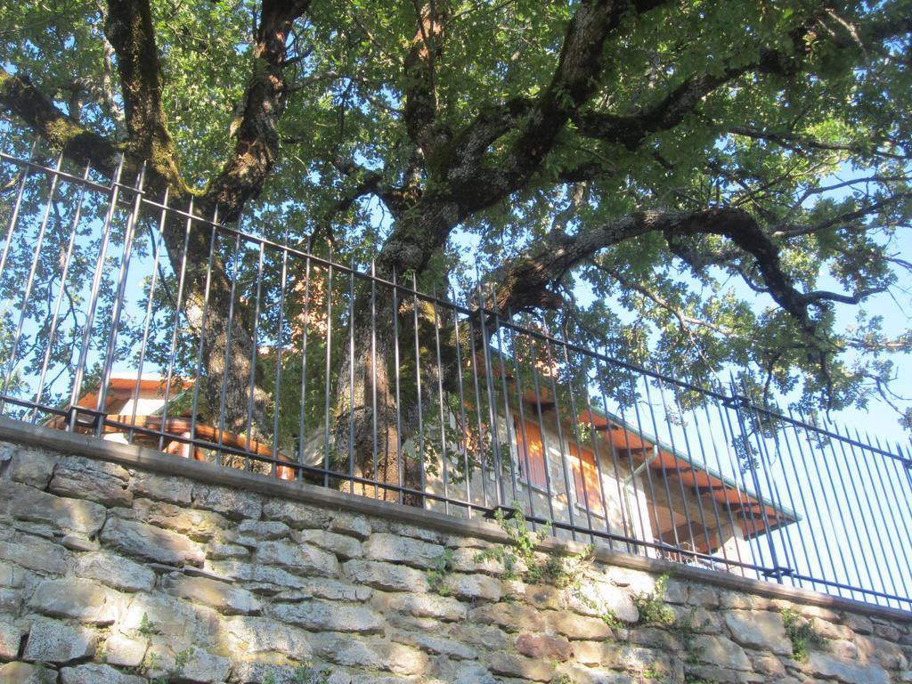 Bed And Breakfast Country Hill Arezzo Ngoại thất bức ảnh